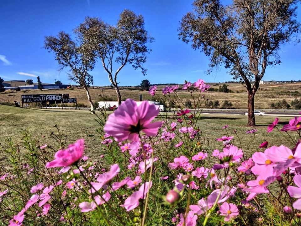 Bathurst Gold Panner Bagian luar foto